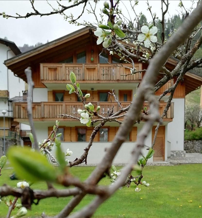 סן פייטרו די קאדורה B&B Il Tulipano מראה חיצוני תמונה